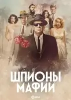 Шпионы мафии смотреть онлайн сериал 1 сезон