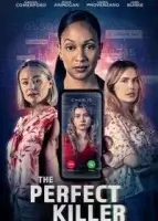 Идеальный убийца смотреть онлайн (2025)