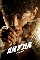 Акула: Буря смотреть онлайн сериал 1 сезон