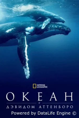 Дэвид Аттенборо: Океан смотреть онлайн (2025)